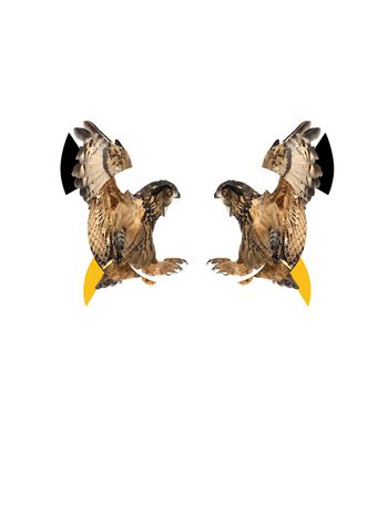 neil印花华亿平台图片