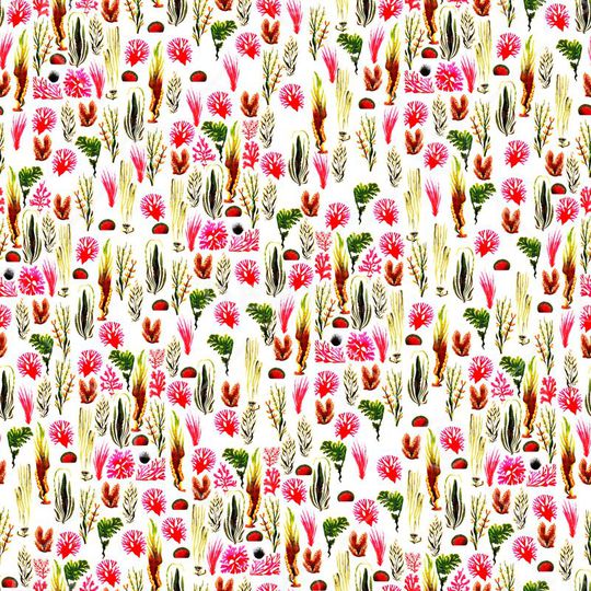 热带印花华亿平台图片