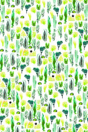 热带印花华亿平台图片