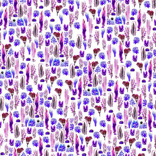 热带印花华亿平台图片