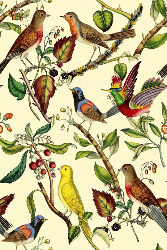 树枝叶子印花华亿平台图片