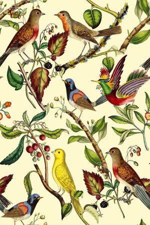 树枝叶子印花华亿平台图片