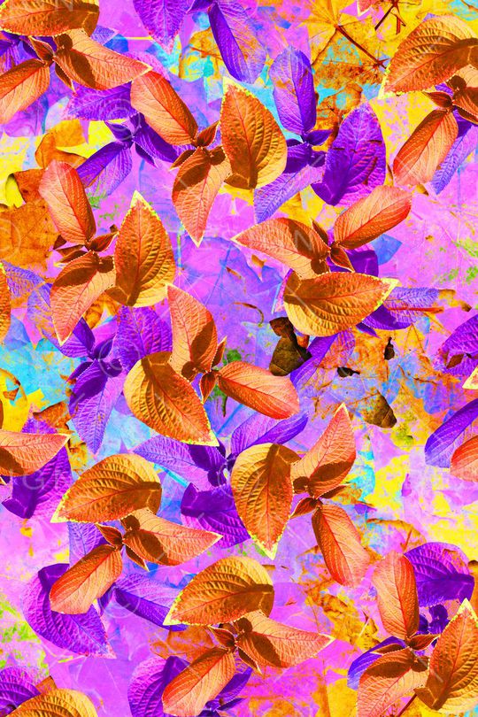 女装印花华亿平台图片