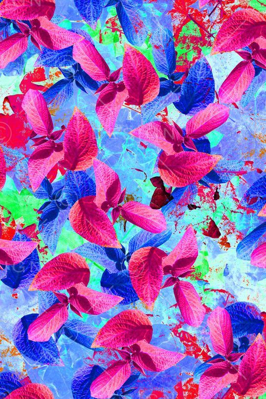 女装印花华亿平台图片