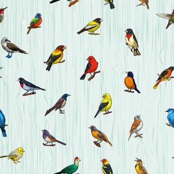 653160-鸟的世界2