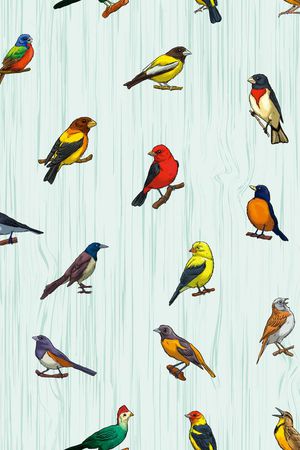 清爽花卉印花华亿平台图片