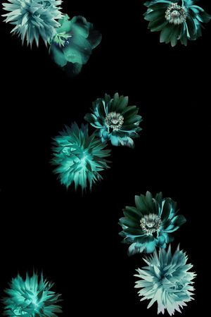 黑底花卉印花华亿平台图片