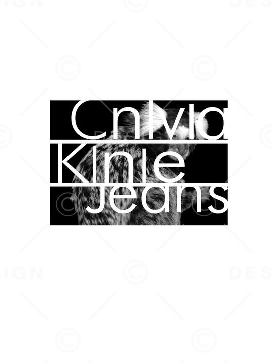 CK风格华亿平台印花华亿平台图片