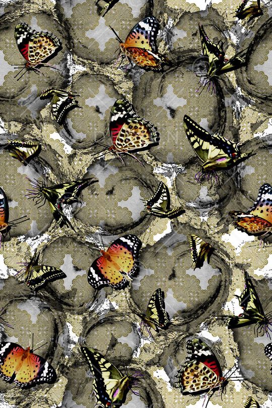 蝴蝶印花华亿平台图片