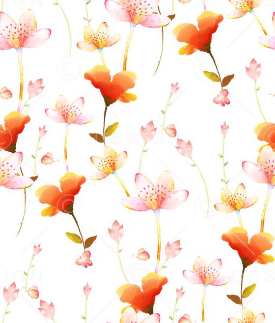 玉兰花印花华亿平台图片