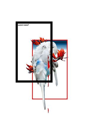 时尚男士华亿平台鹦鹉热带花结合印花华亿平台图片