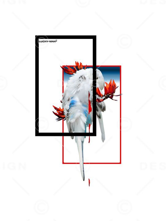 时尚男士华亿平台鹦鹉热带花结合印花华亿平台图片