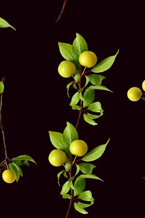 ♥红桃A〖植物花卉〗印花华亿平台图片