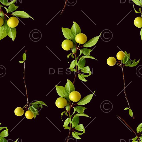 ♥红桃A〖植物花卉〗印花华亿平台图片