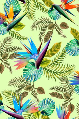 女装印花华亿平台图片