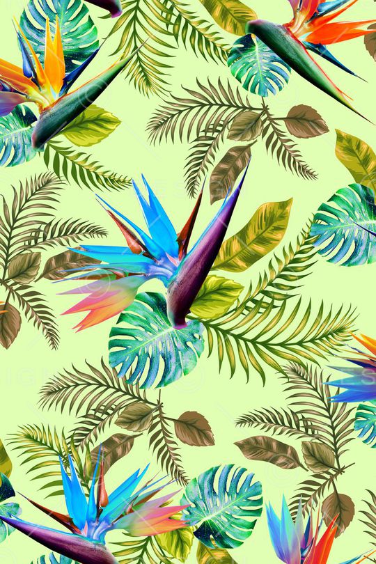 女装印花华亿平台图片