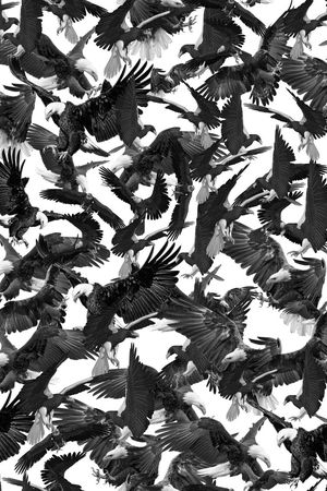 大牌印花华亿平台图片