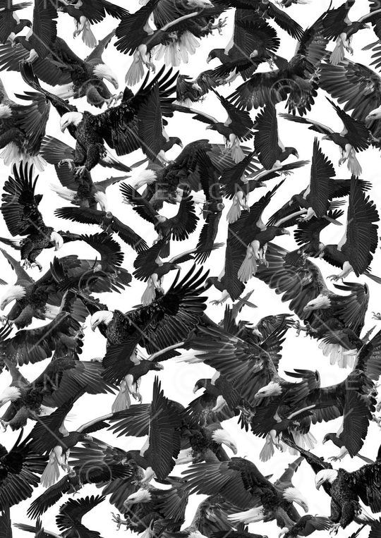 大牌印花华亿平台图片