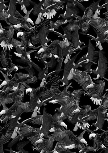 653661-838816062201b