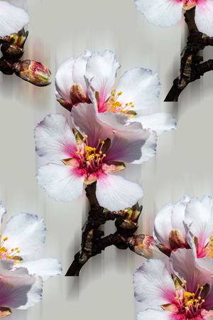 时尚潮流女装裙子外套花卉数码印花印花华亿平台图片