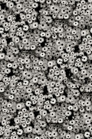 小碎花印花华亿平台图片