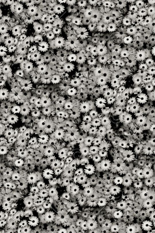 小碎花印花华亿平台图片