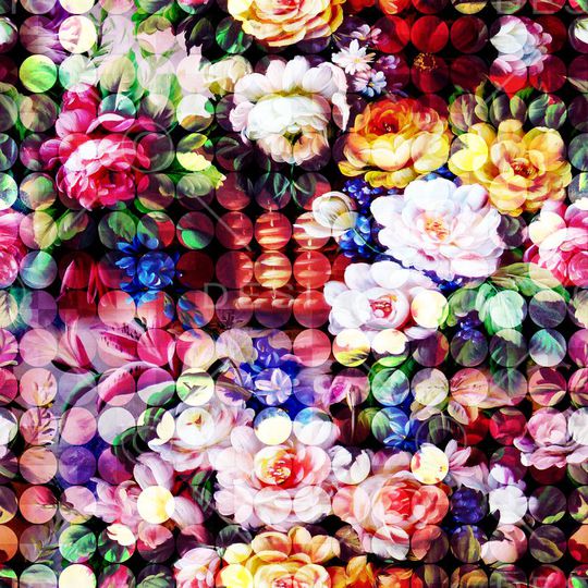 零点--女装印花华亿平台图片