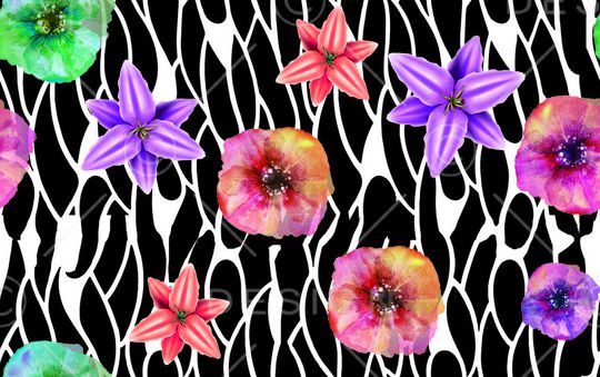 莫妮卡-女装华亿平台印花华亿平台图片