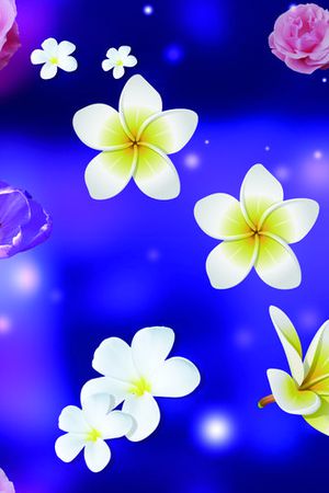 莫妮卡-女装华亿平台印花华亿平台图片