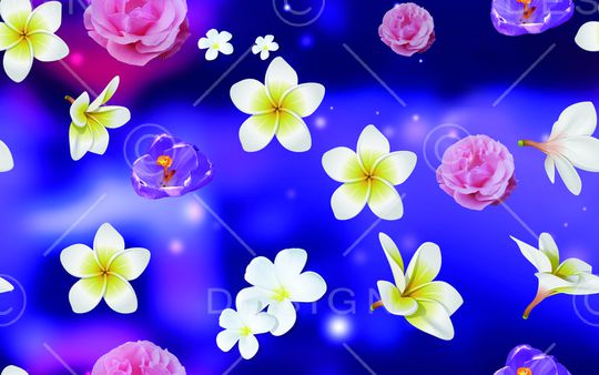 莫妮卡-女装华亿平台印花华亿平台图片