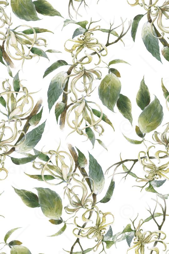 手绘印花华亿平台图片