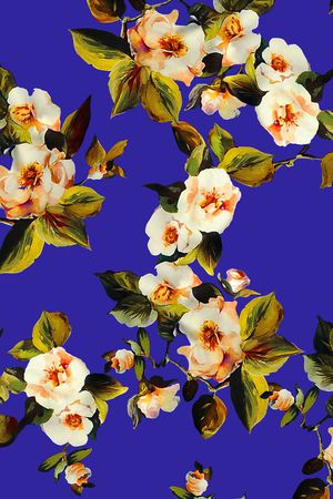 条纹印花华亿平台图片