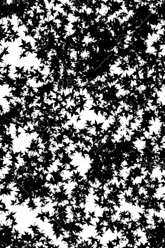 叶子纹印花华亿平台图片