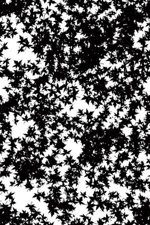 叶子纹印花华亿平台图片