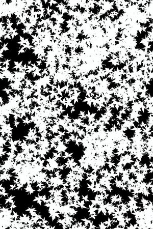 叶子纹印花华亿平台图片