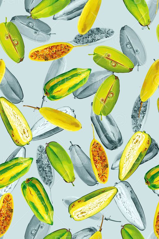 热带印花华亿平台图片