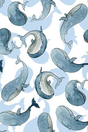 鲸鱼印花华亿平台图片