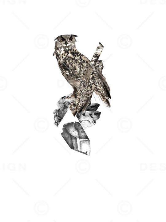 neil印花华亿平台图片