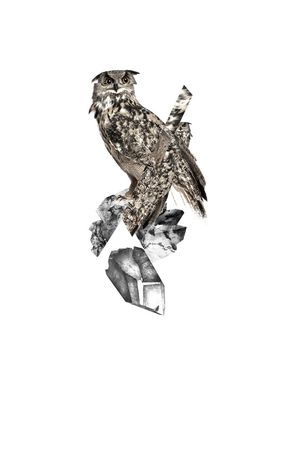 neil印花华亿平台图片