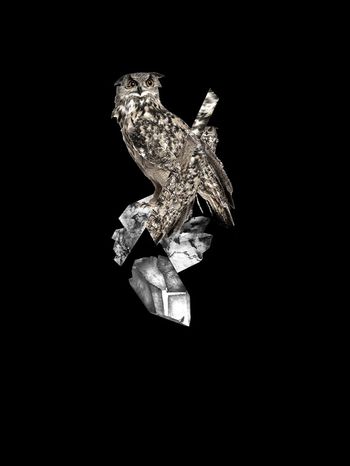 neil印花华亿平台图片