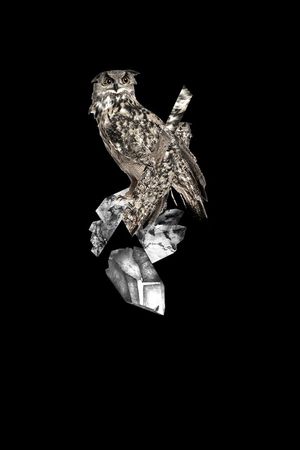 neil印花华亿平台图片