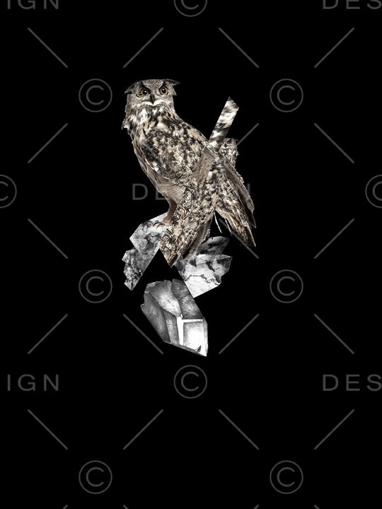 neil印花华亿平台图片