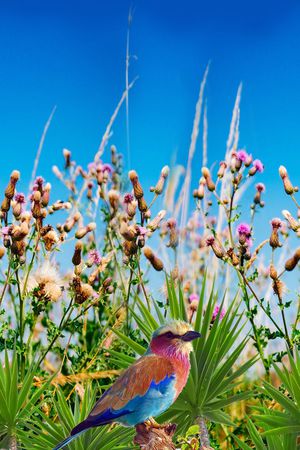 风景印花华亿平台图片