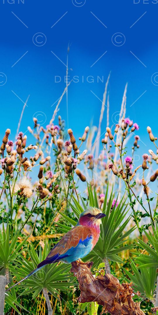 风景印花华亿平台图片