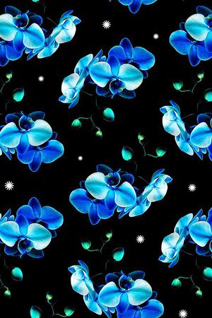 蝴蝶兰印花华亿平台图片