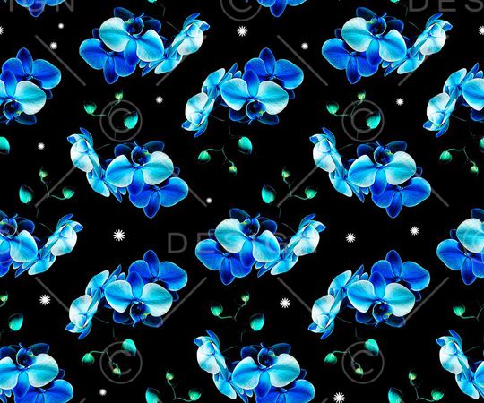 蝴蝶兰印花华亿平台图片