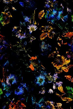 比基尼印花华亿平台图片