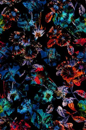 比基尼印花华亿平台图片