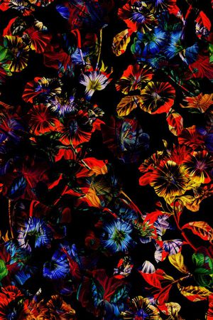 比基尼印花华亿平台图片