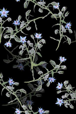 男装华亿平台印花华亿平台图片